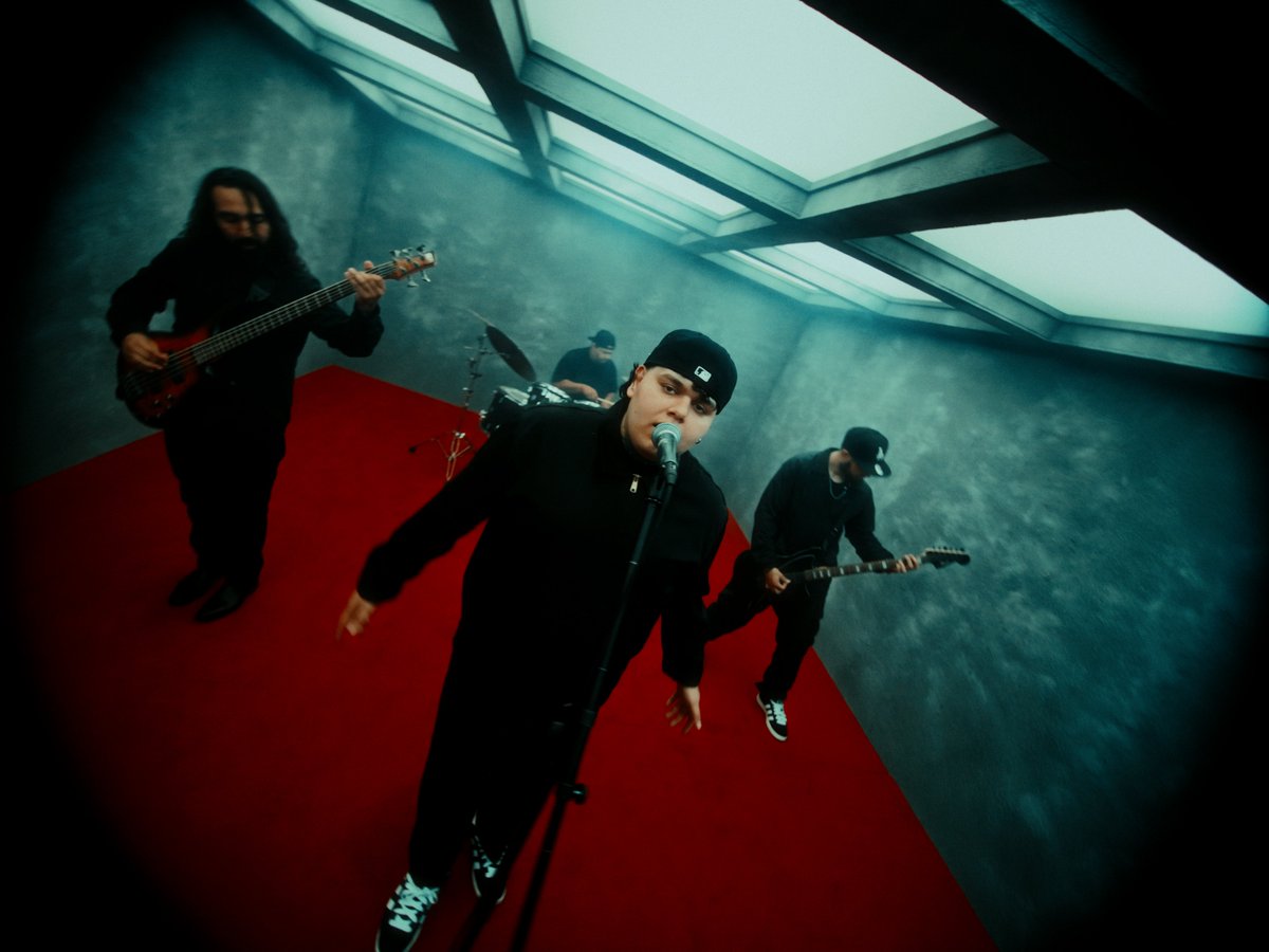 barf.mp4 tweet media