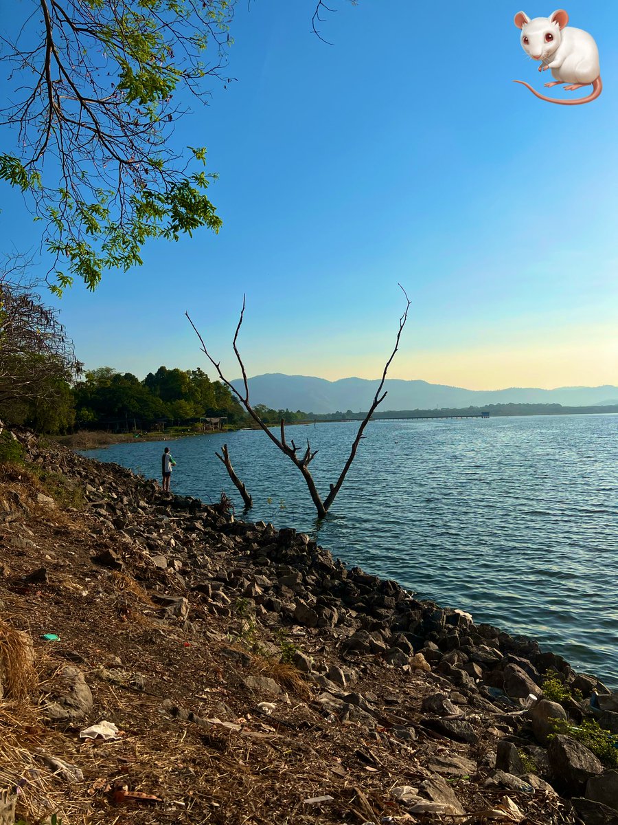 สายลมพัดกระทบลำตัว ในยามเช้า
คลายความเหงา ในวันที่โดดเดี่ยว
ถึงวันนี้จะแย่ แต่เดี๋ยวก็ผ่านไป