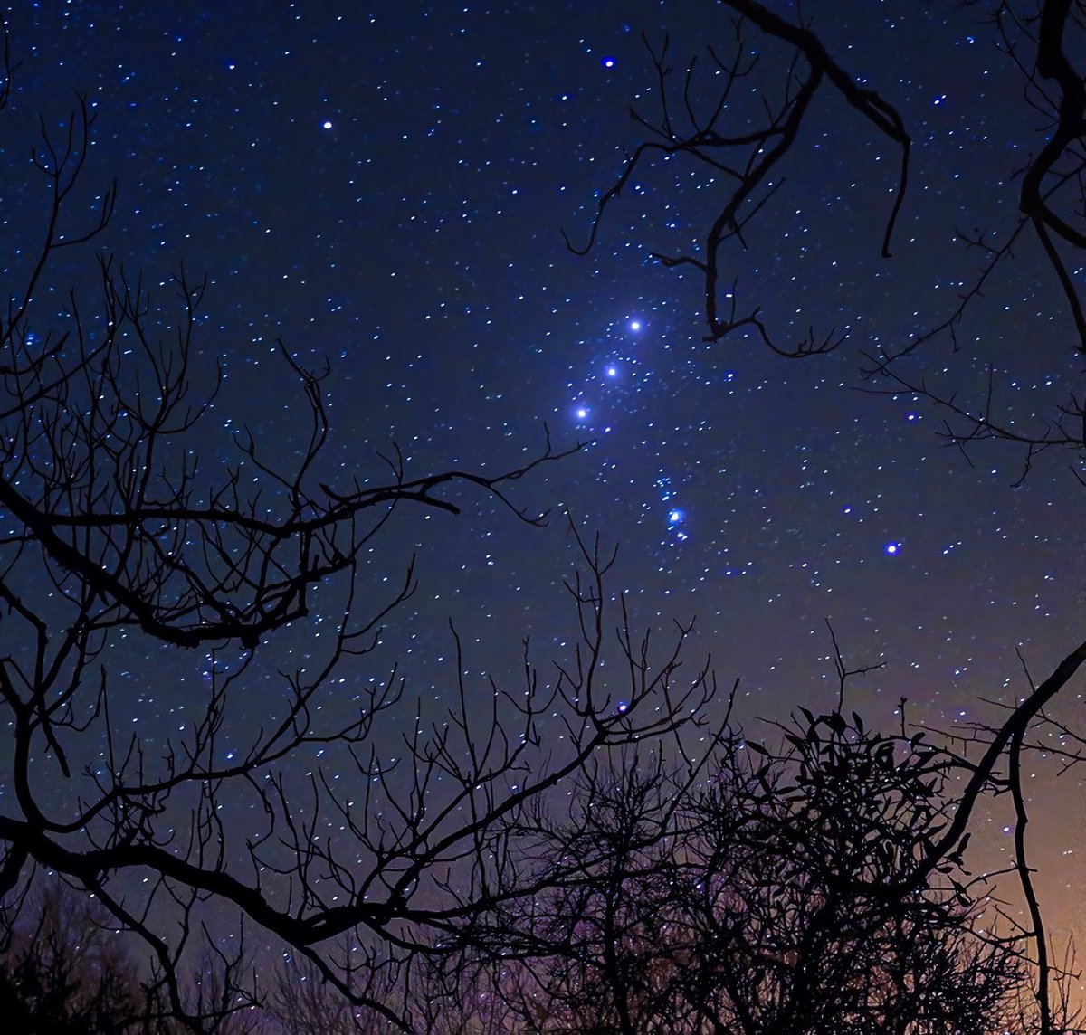 purepeaceful's tweet image. starry night ✨