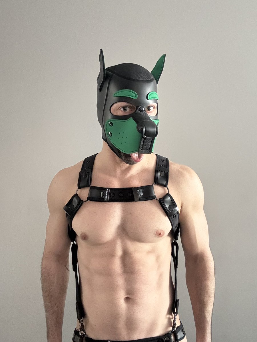 Finn's Playground (Austin Apr 2-5) tweet media