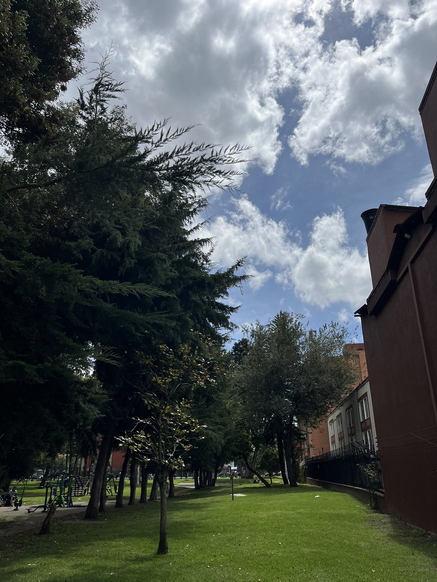 kvncvo's tweet photo. Domingo de apreciar el sol citadino 💛 https://t.co/fEplFe12f2