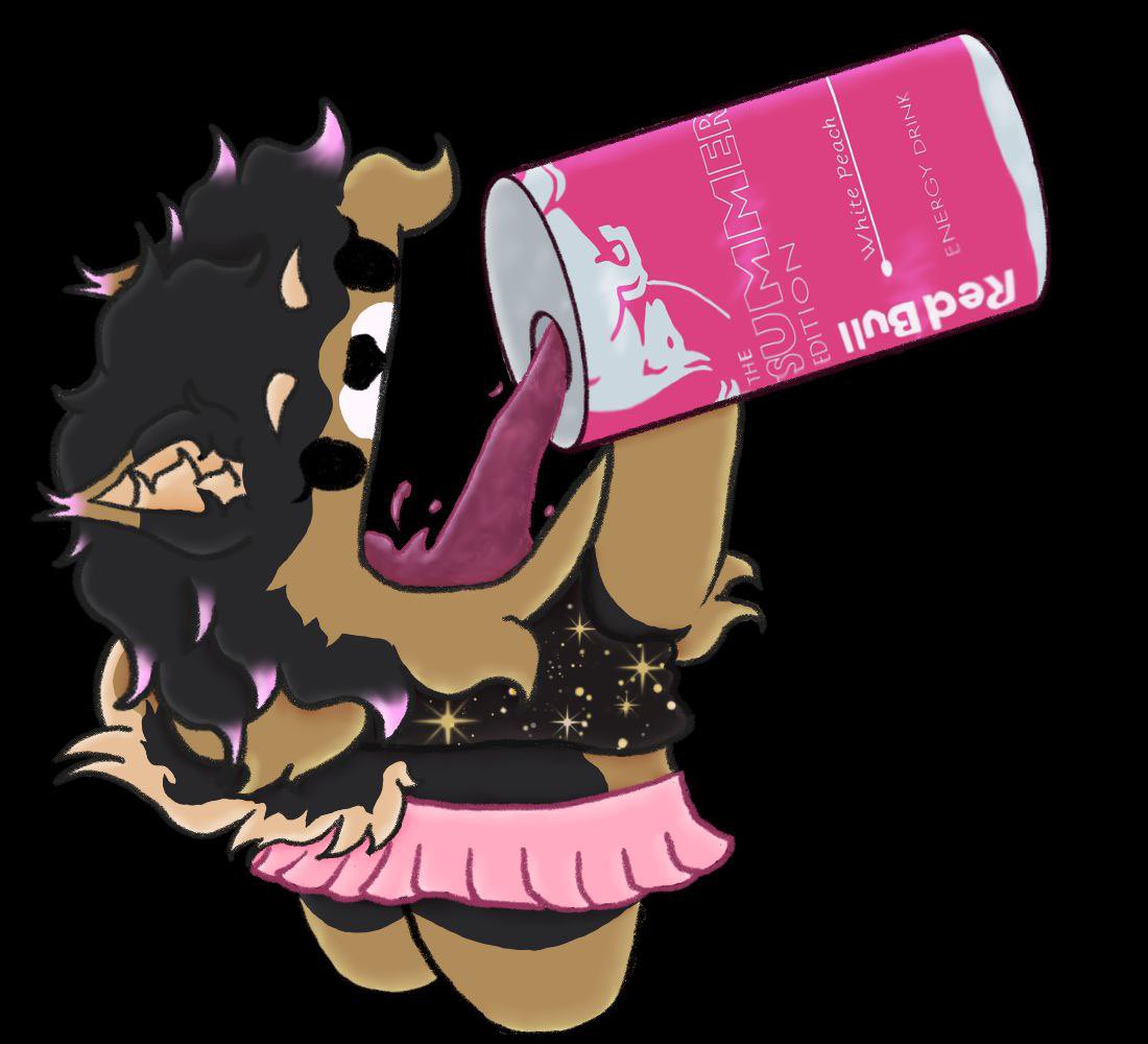 ✨Kash Pibble✨ tweet media