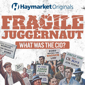 Fragile Juggernaut: A CIO Podcast tweet media