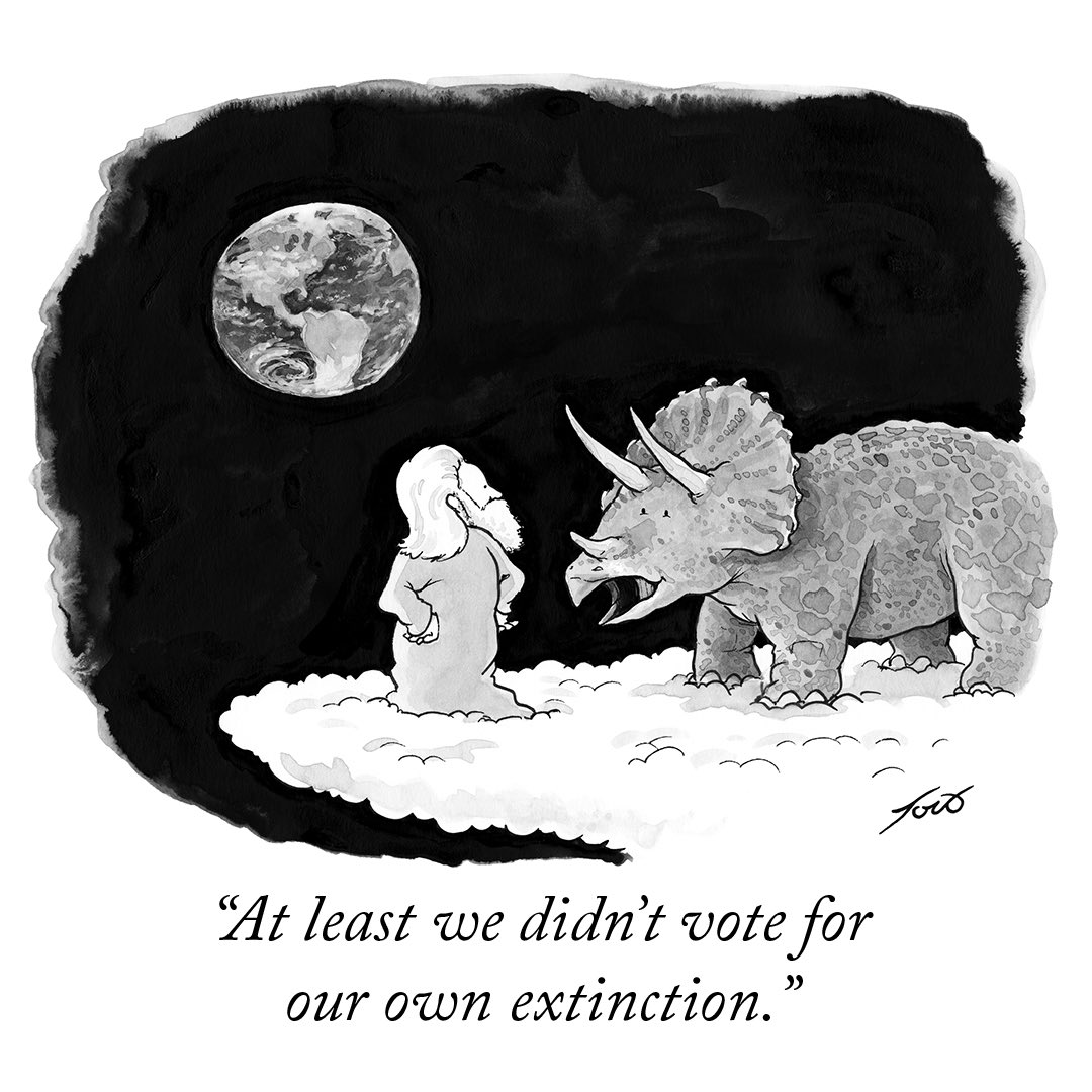 Tom Toro (@ttomttoro) on Twitter photo 