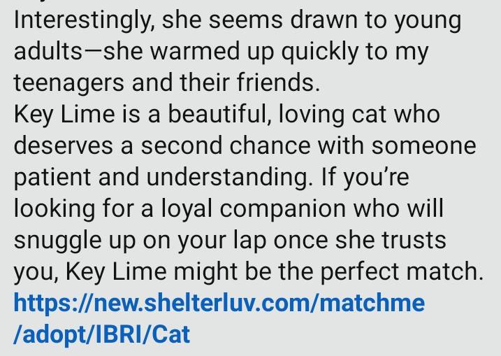 Key Lime
Meet by appointment only. Call 916-705-6884
Female
3 years old
Eats Purina One Adult Kibble
No young kids or other animals...
#adoptdontshop #adoptme #catadoptions #rosevilleca