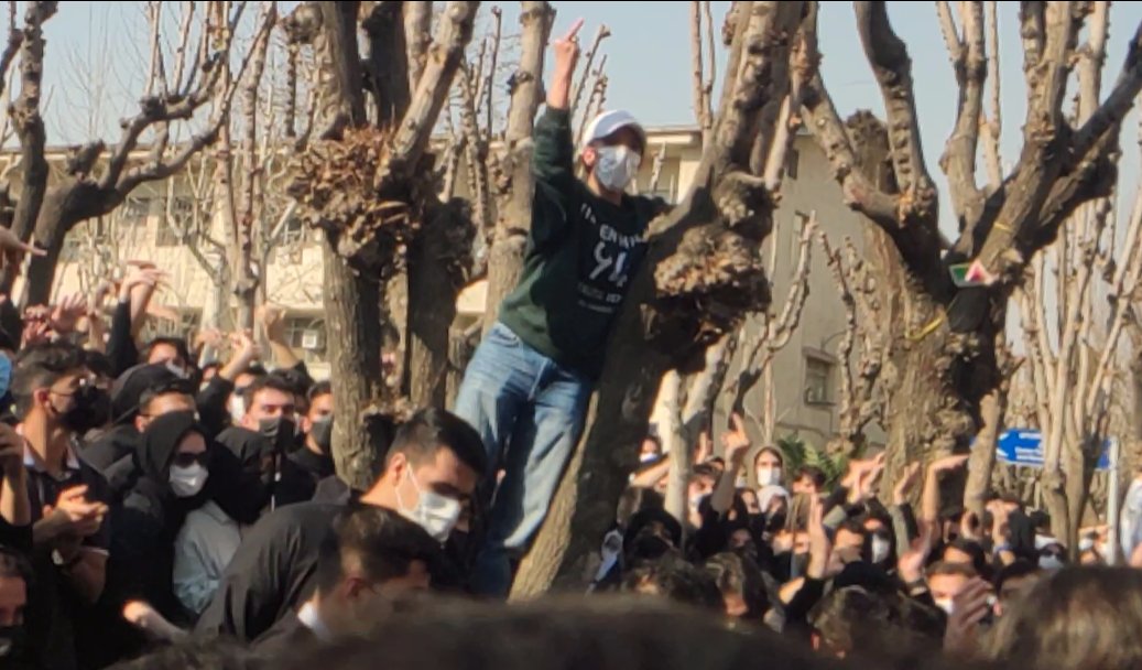 ذاتتون همینه...
یه مشت شکم‌سیر جاهل،
که عزاداری‌تون کف و سوت و هلهله‌ست،
نهایت ادبتون روانه کردن اسافل اعضاتونه،
منتهای مبارزه سیاسی‌تون تمسخر دست مجروح سید ماست؛
ای کاش همه‌تون با هم انقدری ارزش داشتید که بگم همه‌تون فدای دست مجروح سیدعلی، اما دریغ...

#دانشگاه_شریف
#داعشجو