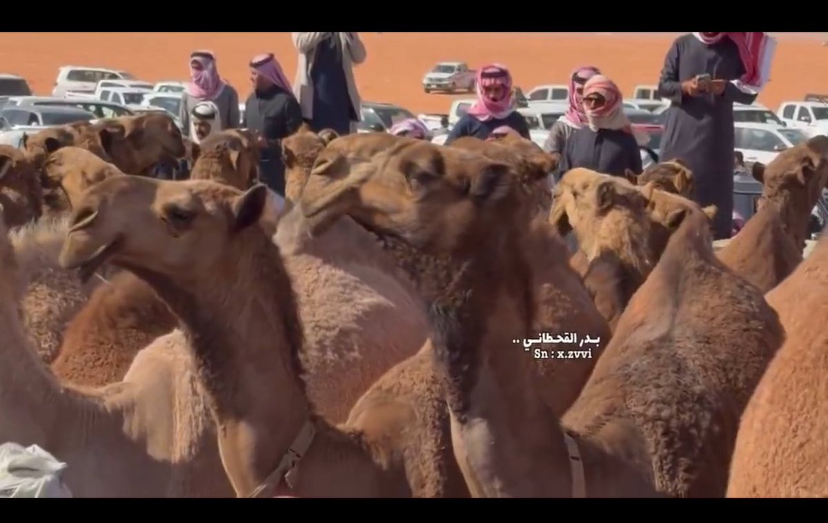 سمارات المنقيه المتكامله