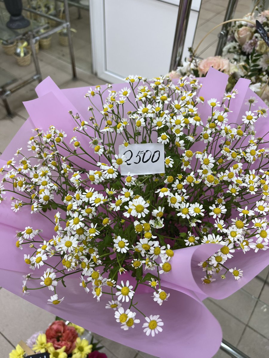 Леся tweet media