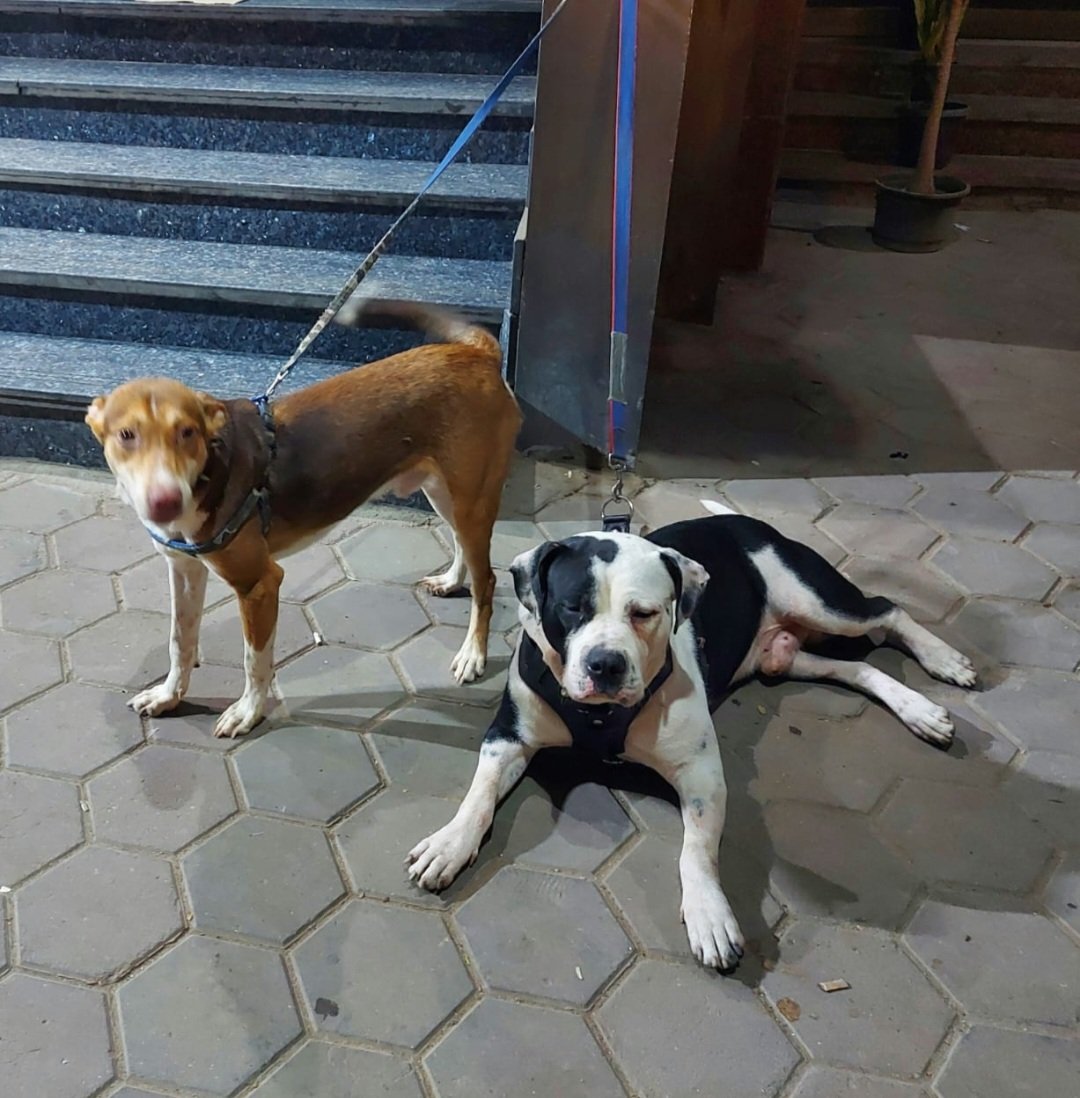 MAHAMED FARSY 🤍🩵🖤❤️🩹 tweet media