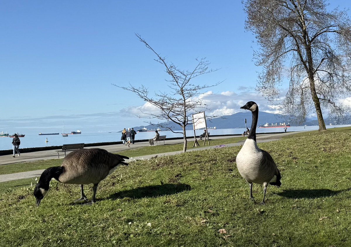 EthanBaron 🇨🇦🇺🇸 tweet media