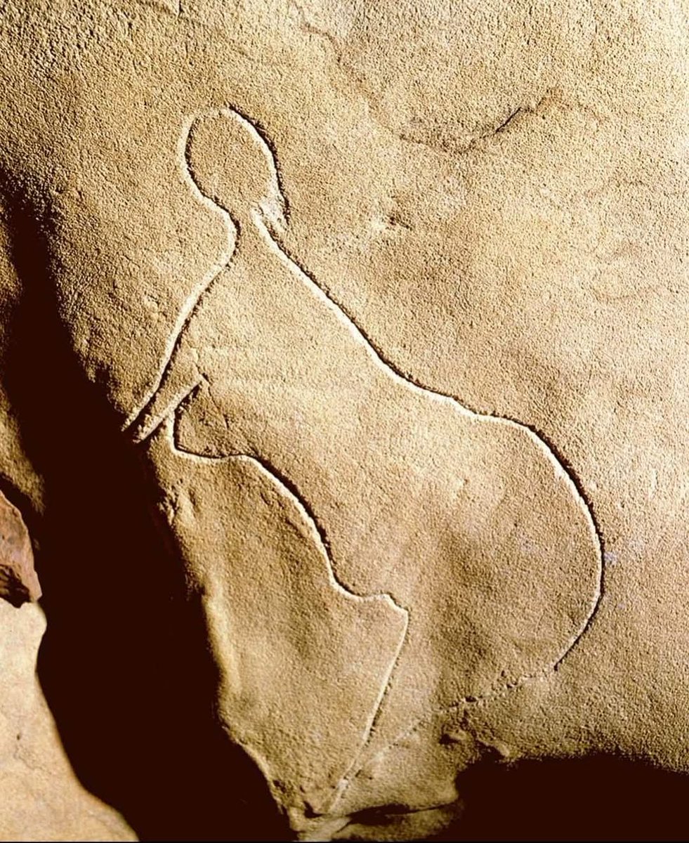 Dr. M.F. Khan tweet media