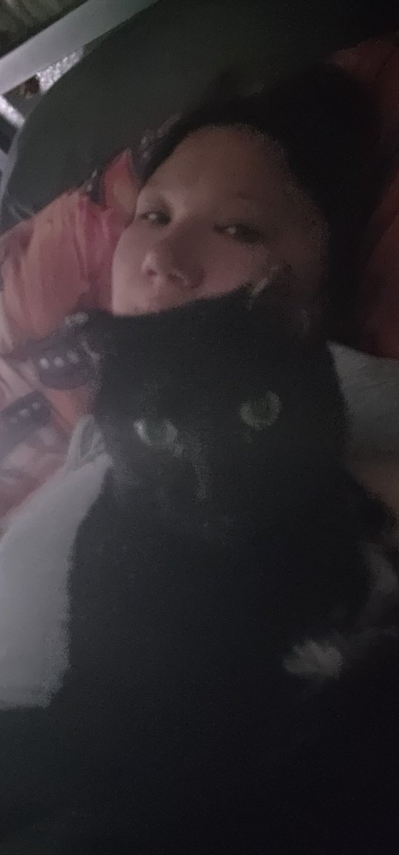 Captain Showtime 🔜 TFF / LVFC /FWA tweet media