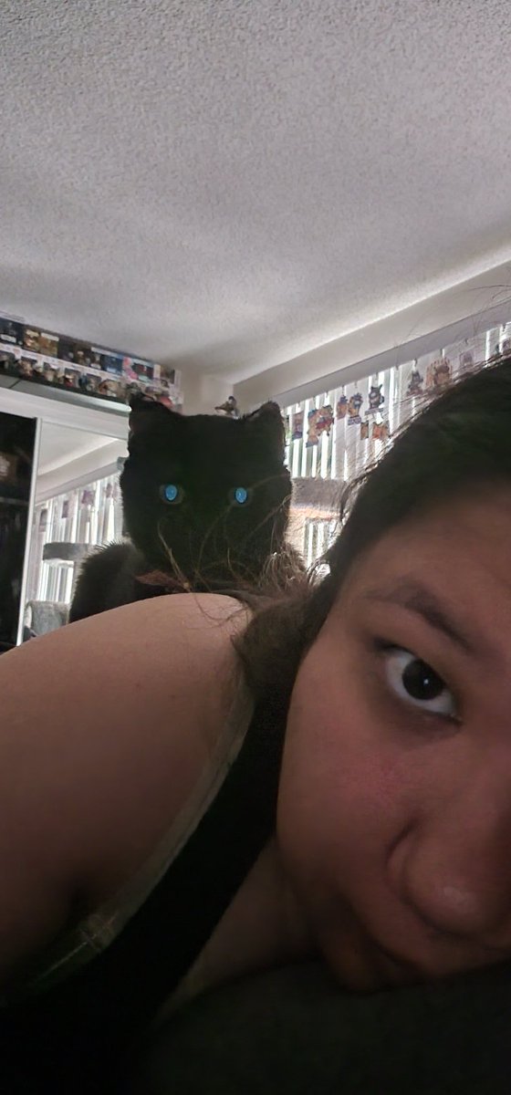 Captain Showtime 🔜 TFF / LVFC /FWA tweet media