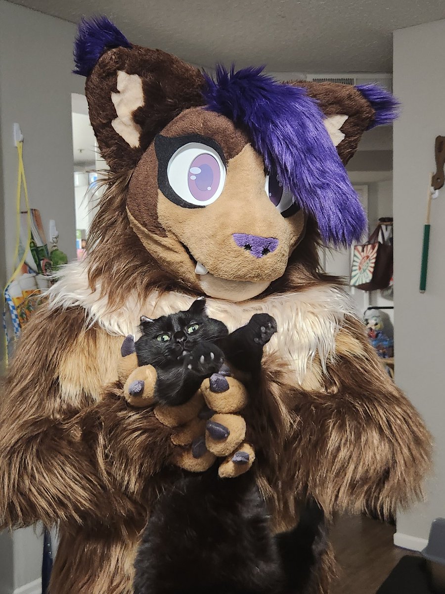 Captain Showtime 🔜 TFF / LVFC /FWA tweet media