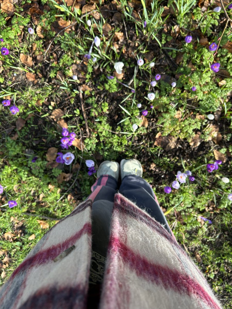 Victoria Farrow Architect tweet media