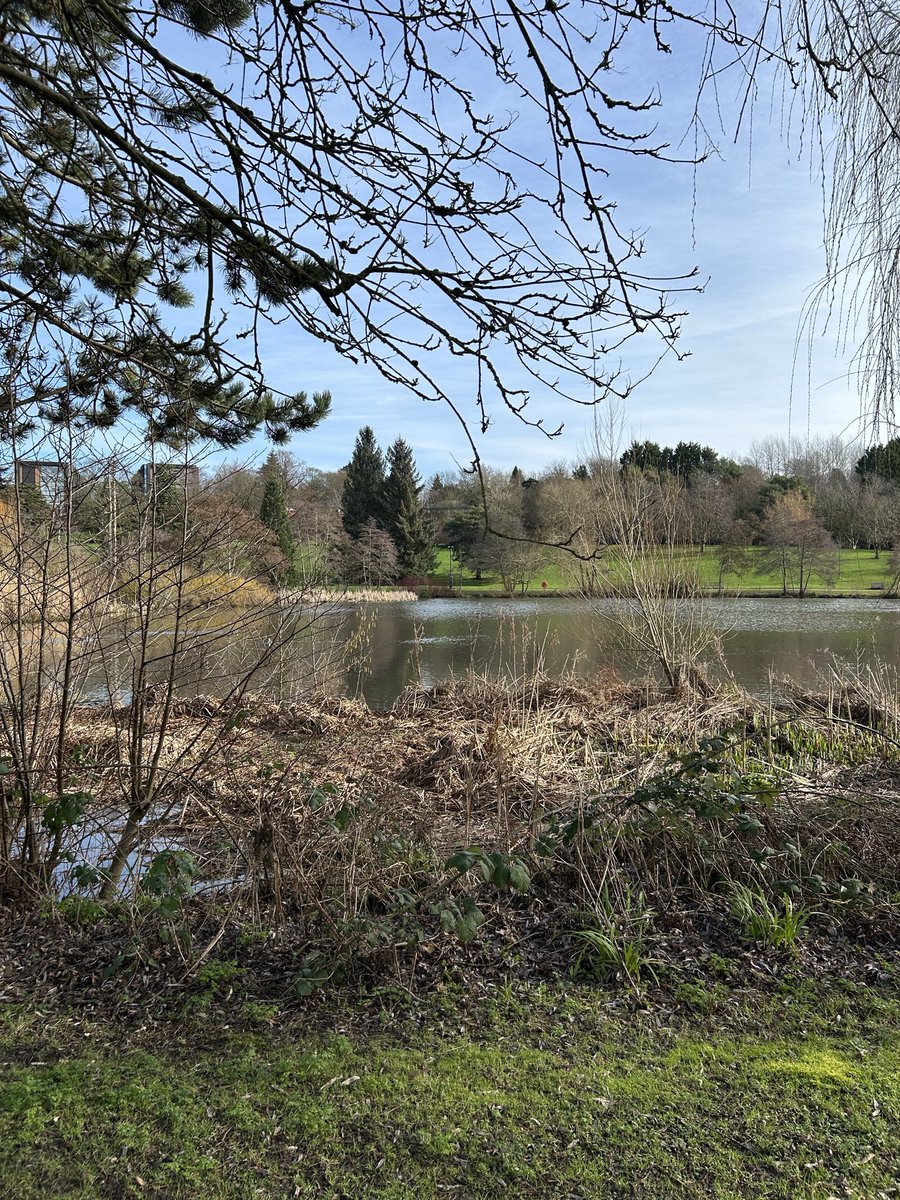 Victoria Farrow Architect tweet media