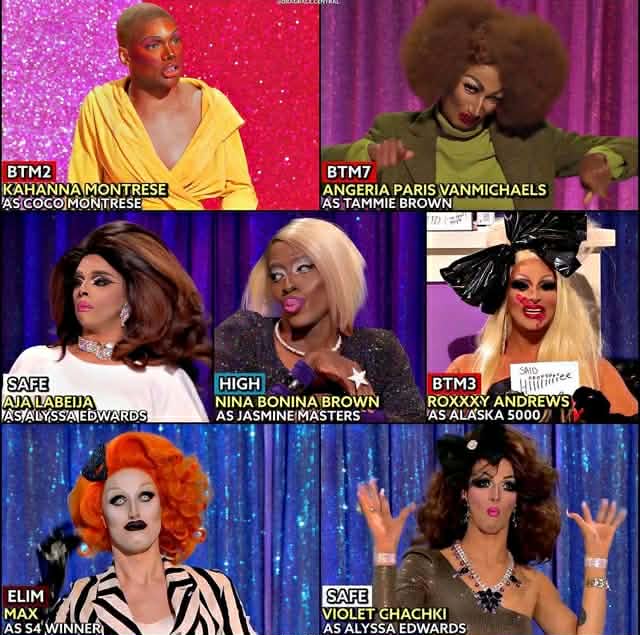 Sheeda 🐈 Cat 🍉 tweet media