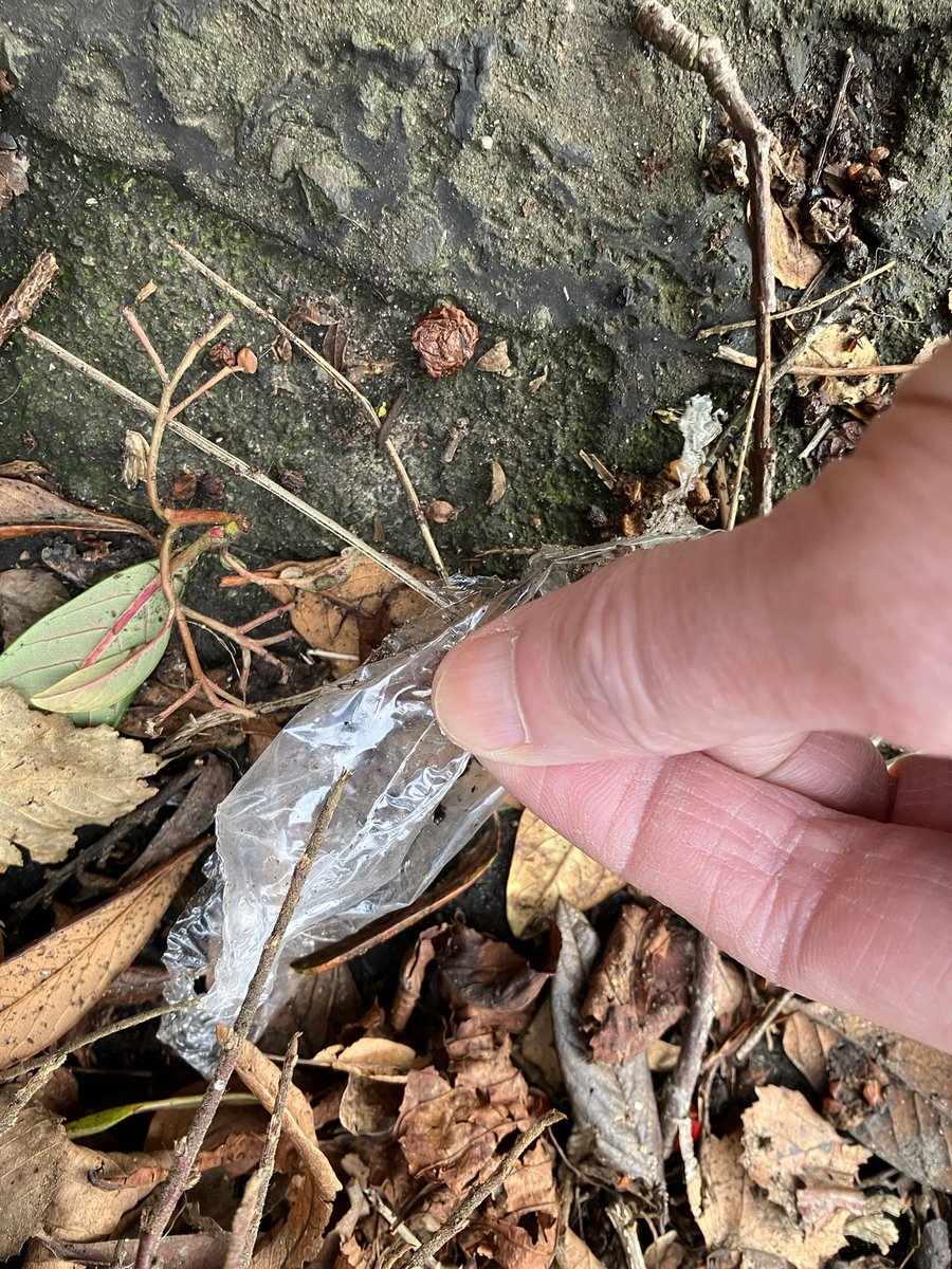 @_pickuplitter tweet media