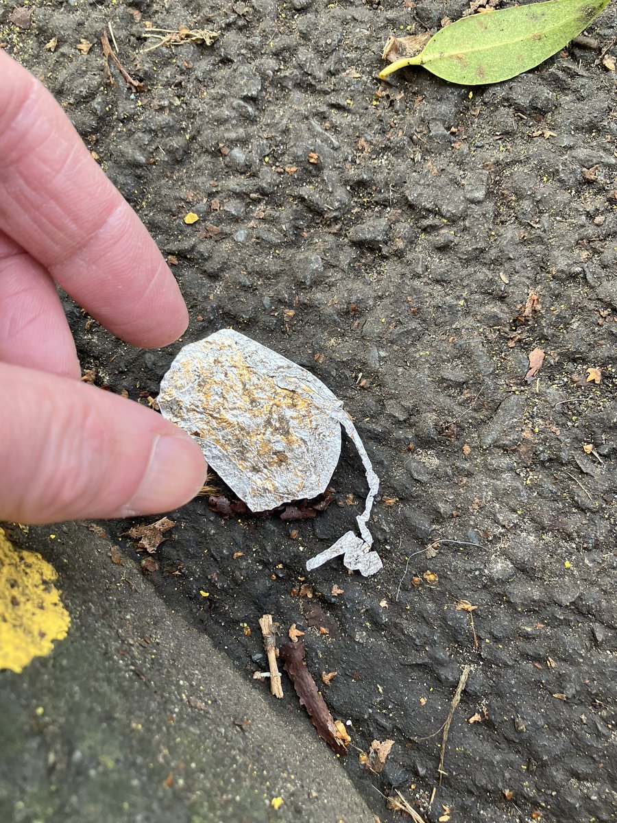 @_pickuplitter tweet media