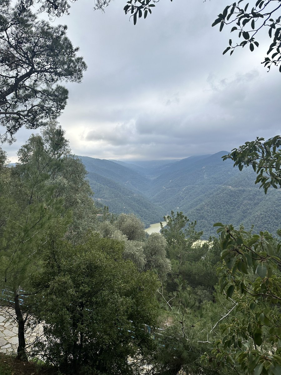 Çınar (@80likplak) on Twitter photo 