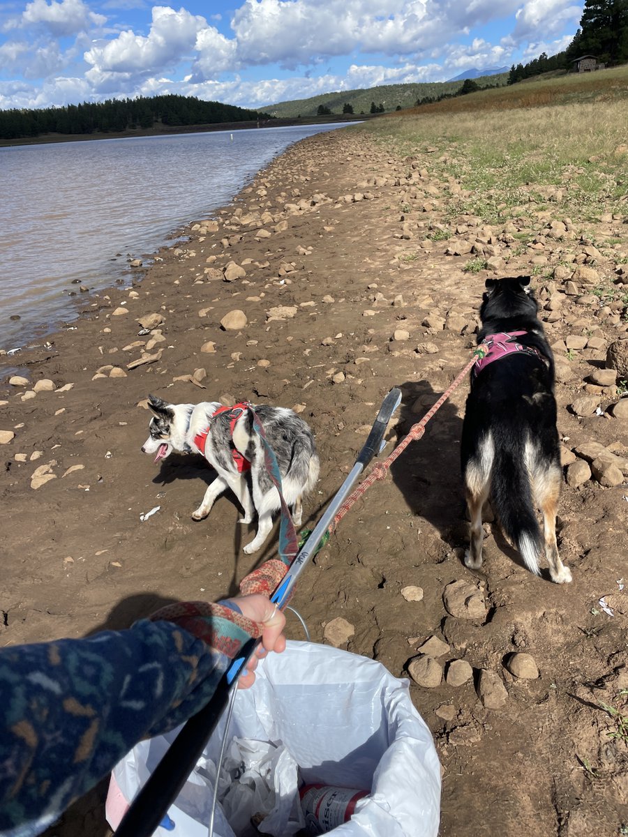 ArizonaDEQ's tweet image. Did you know that dog poop can contaminate our water? When it isn't picked up, it can find its way into our local storm drains and waterways, leading to E.coli contamination.

Scoop the POOP 💩 

#ScoopThePoop #AZWater #CleanWater #Walkyourdogday