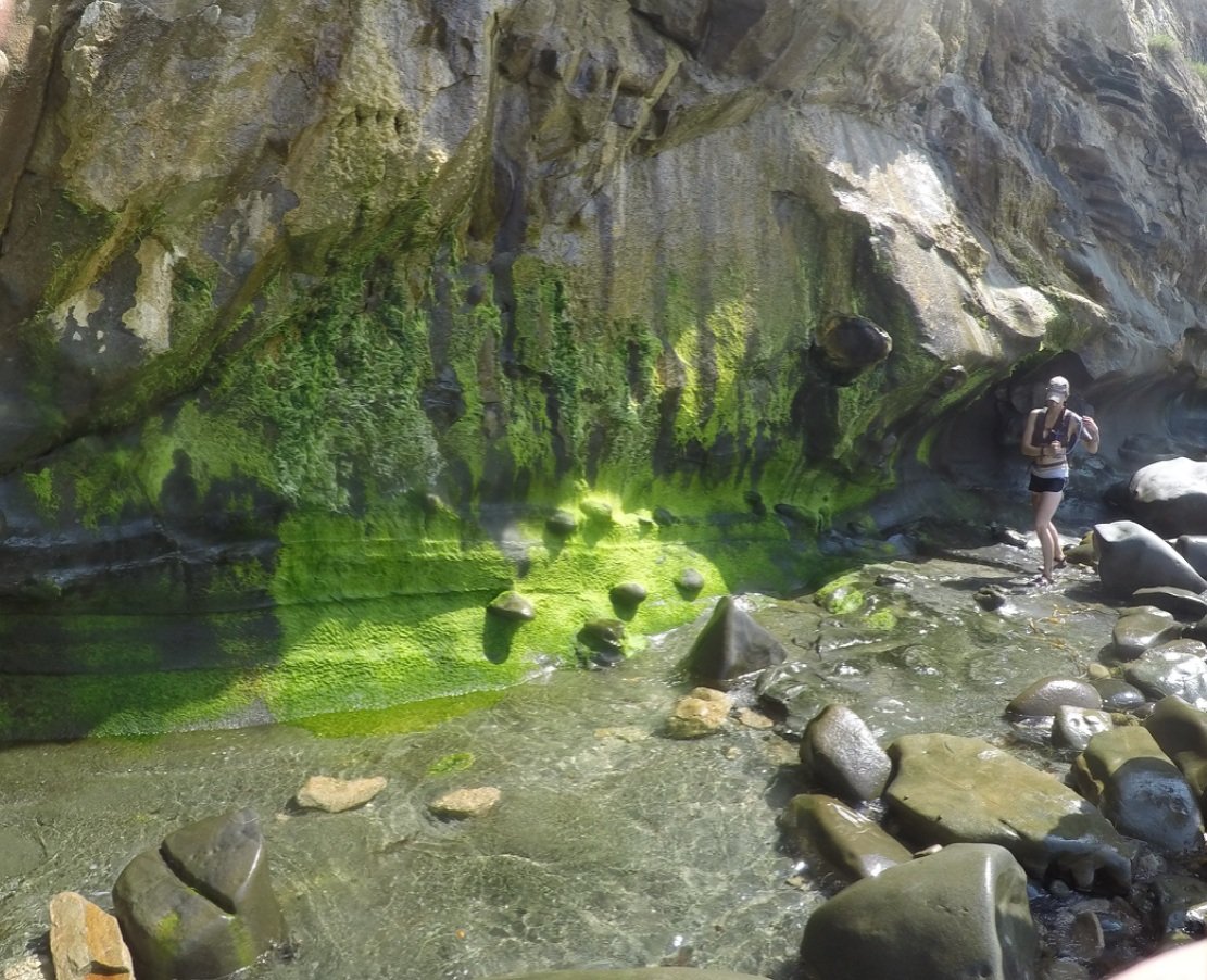 M O T T R A M tweet media