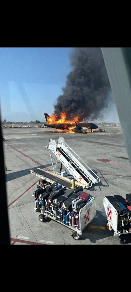 Guerra (ing forense) tweet media