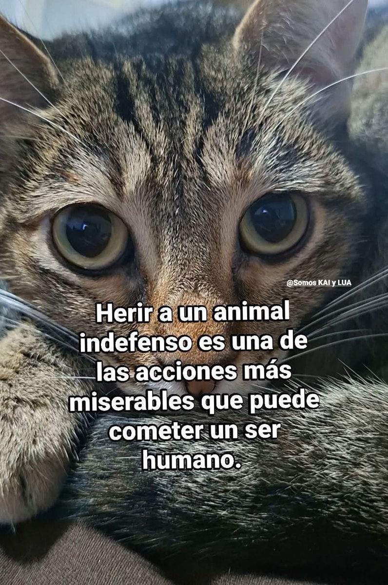 Alejandra Tamayo (@maryale1218) on Twitter photo 