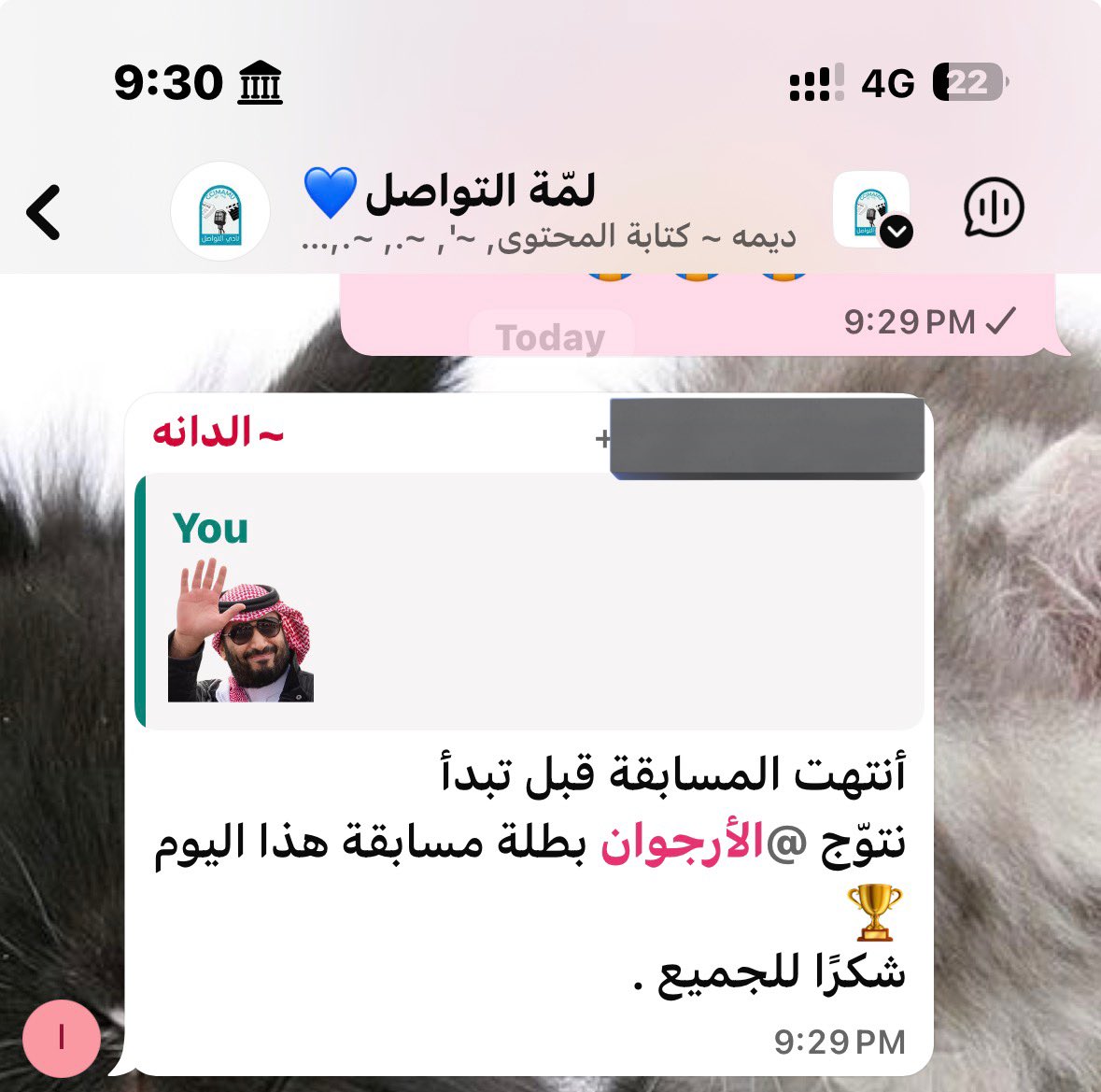 الأرجوان tweet media