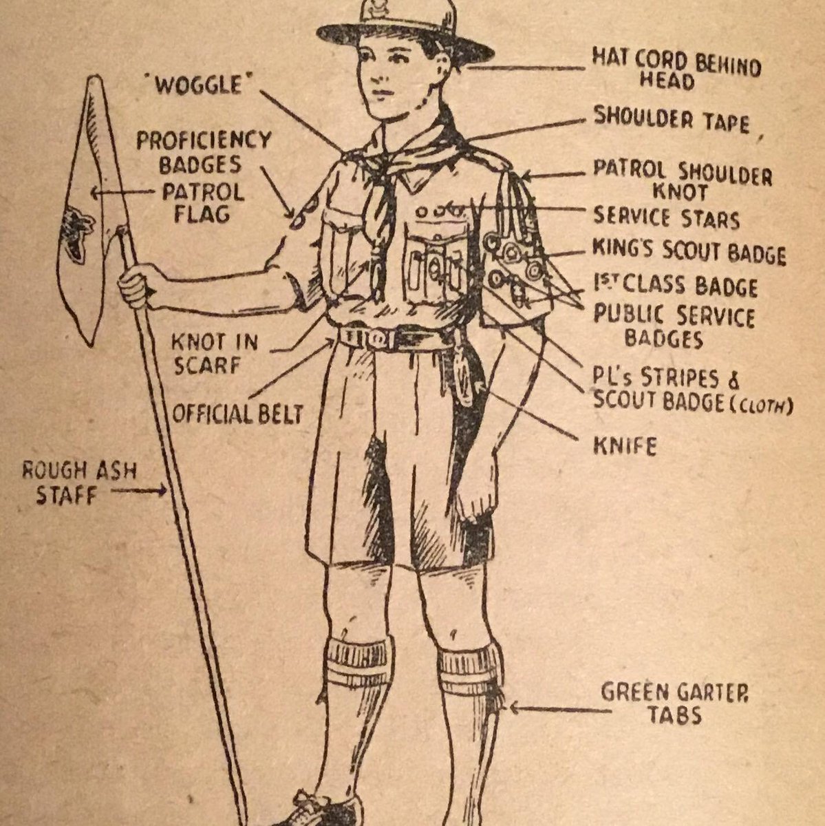 Ashley Baxter tweet media