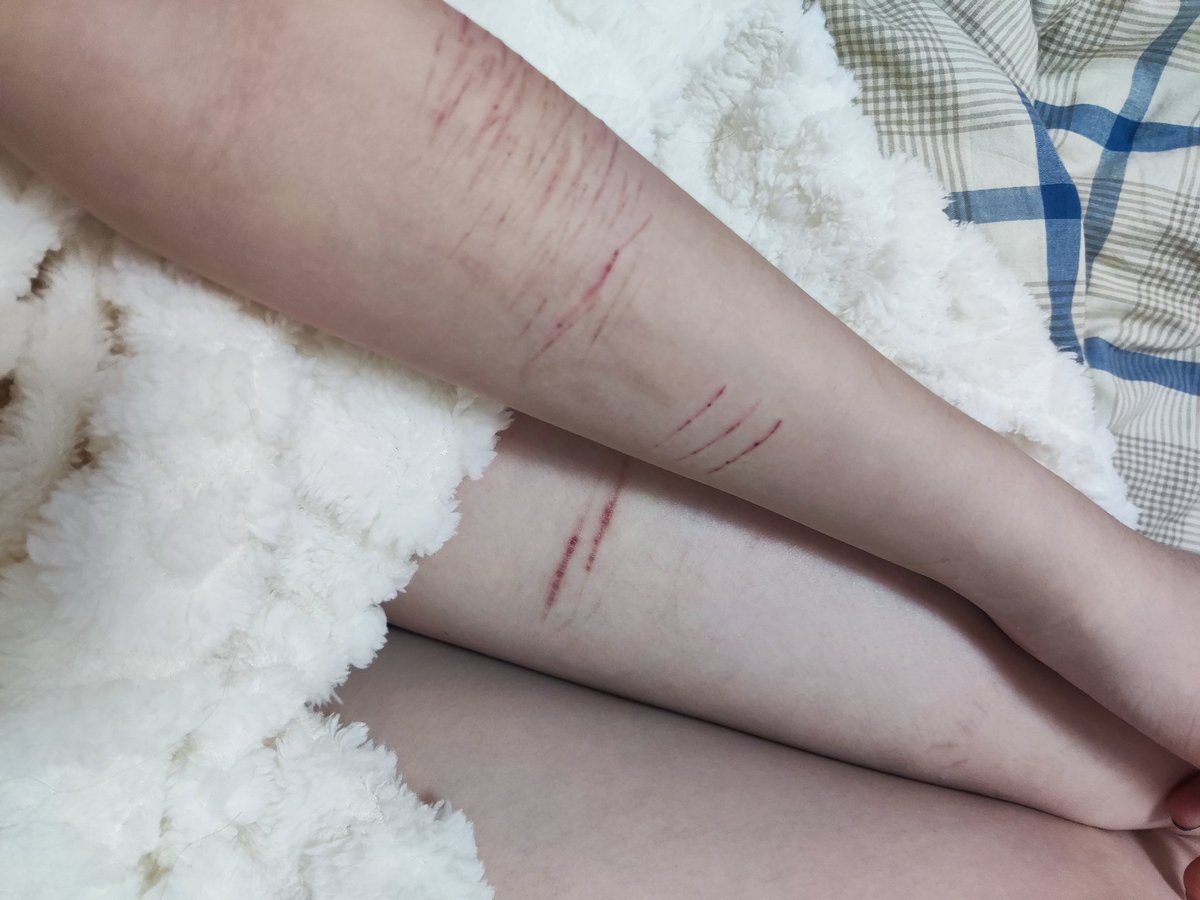 susubble's tweet photo. 本人（23:00-12:00）为眩晕状态，不要和本人聊天
精神层面Bratty Little Kitten
需要一个Gentle Cat Daddy https://t.co/smjLd7tr0y