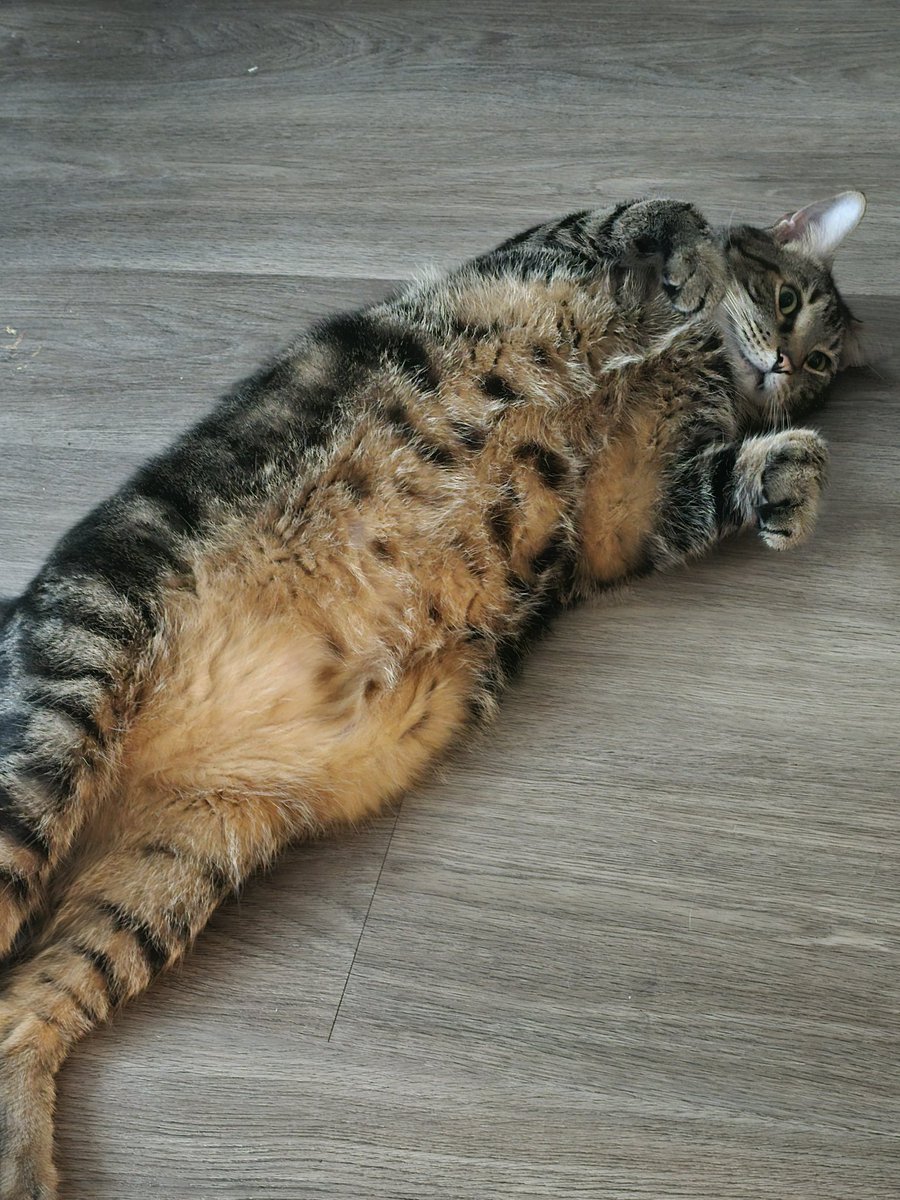 TNS| MFCR tweet media