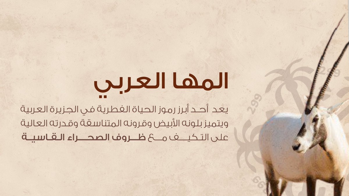 سواج | SWAJ tweet media