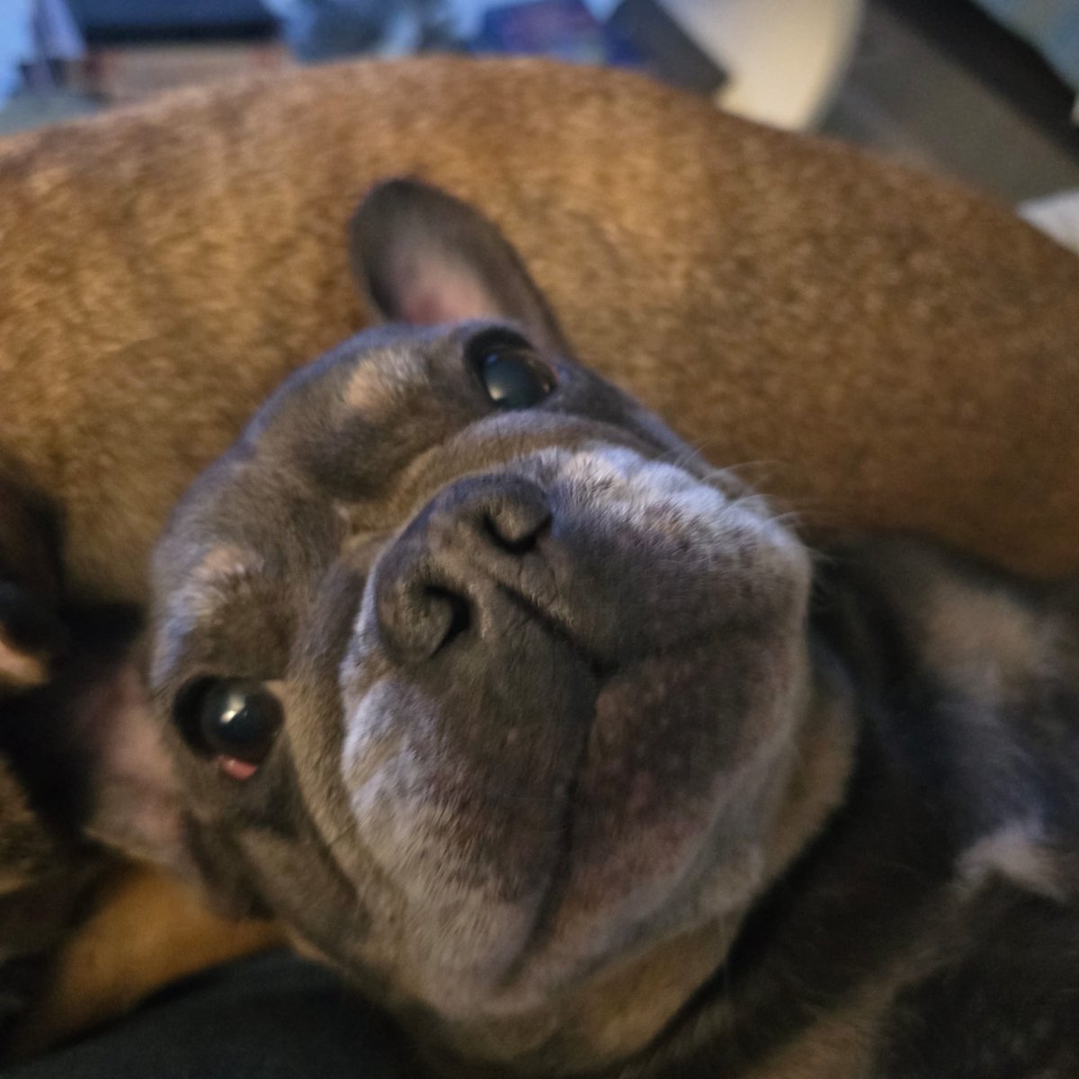 Chris Green tweet media