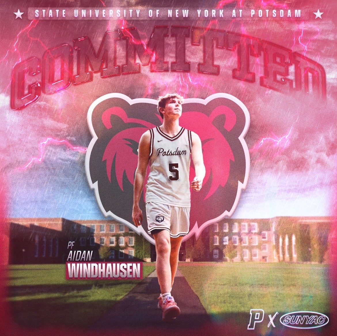 Level Up Basketball tweet media