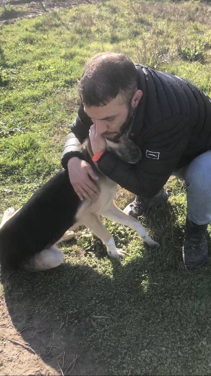 Bir Çocuk Öldürülür.
Katili 13-15 Yaşlarındadır…
Ailesinden,Siz Nasıl Bir Evlat Yetiştirdiniz Diye Hesap Sorulmaz❗️
AMA,,,
Türkiye’nin Bir Ucundaki Bir Olay Yüzünden,
Milyonlarca Köpek Katil İlan Edilip Ölüm Fermanları Verilir❗️
Biz Bu Dünyanın
Kanlı Düzenine Asla Teslim