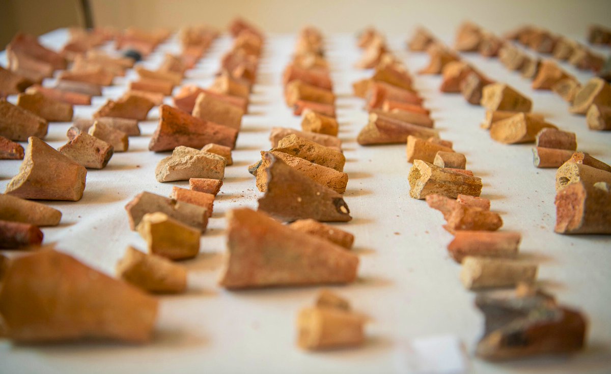 Archaeology Magazine tweet media