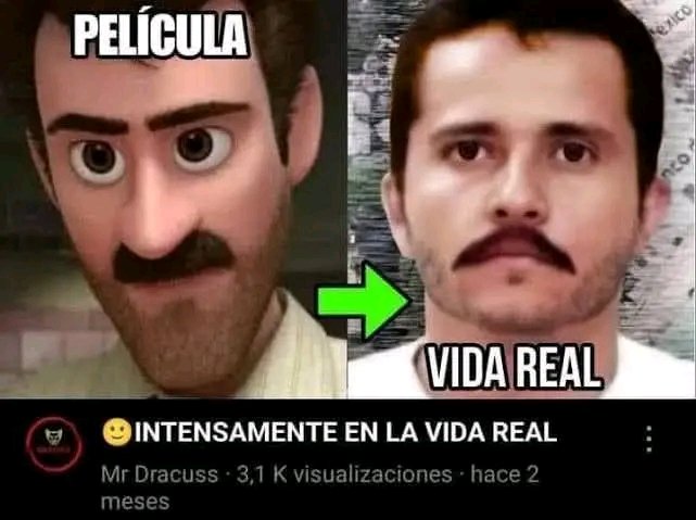 Lucho Portuano tweet media