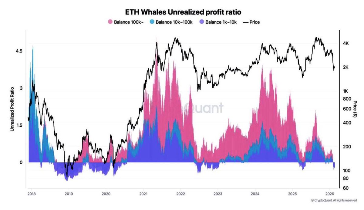 moh3nsaed's tweet photo. ‼️ Almost all #Ethereum whales are in losses. https://t.co/SXRlA3FrAL
