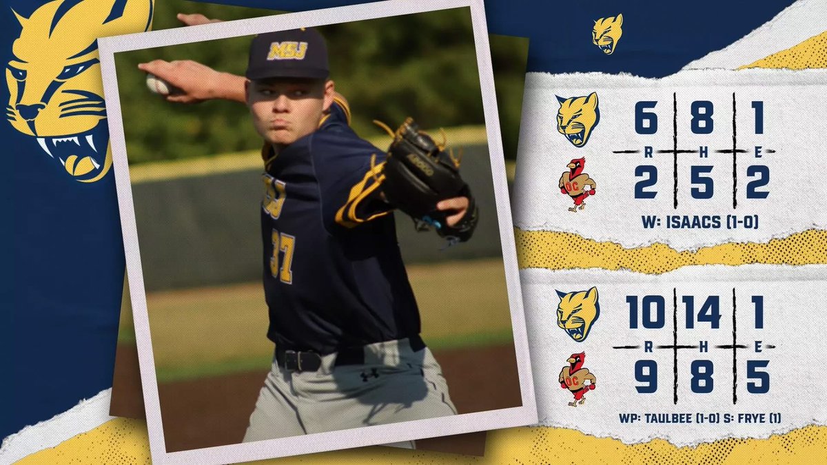 MSJ Baseball tweet media