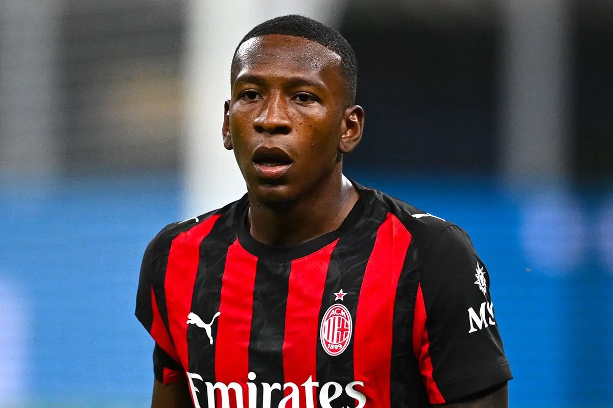 SangueFuturo tweet media