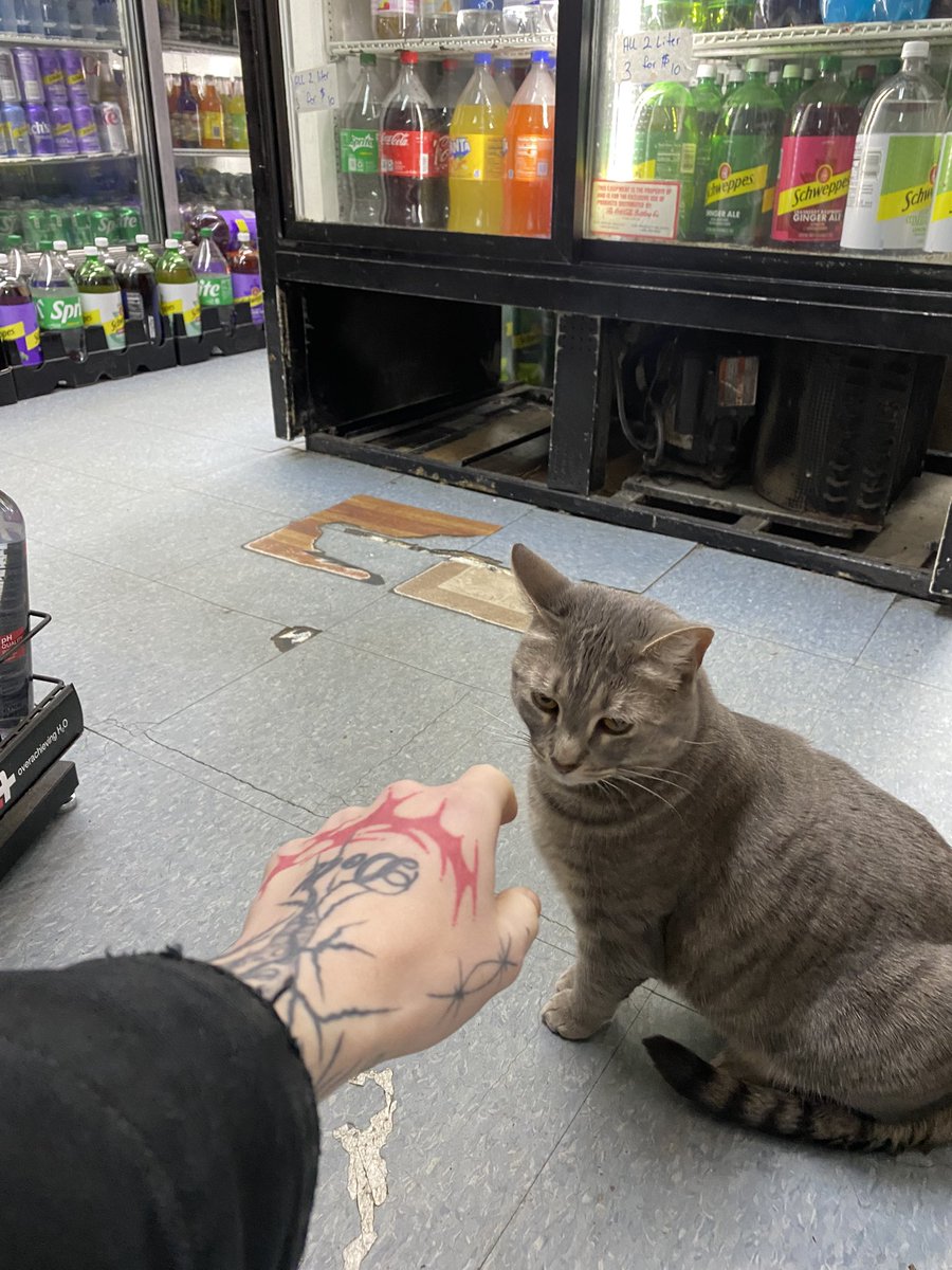 Peppermint tweet media