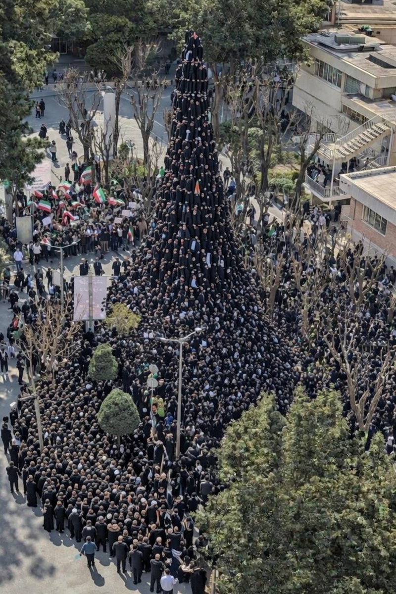 امیر صدرا tweet media