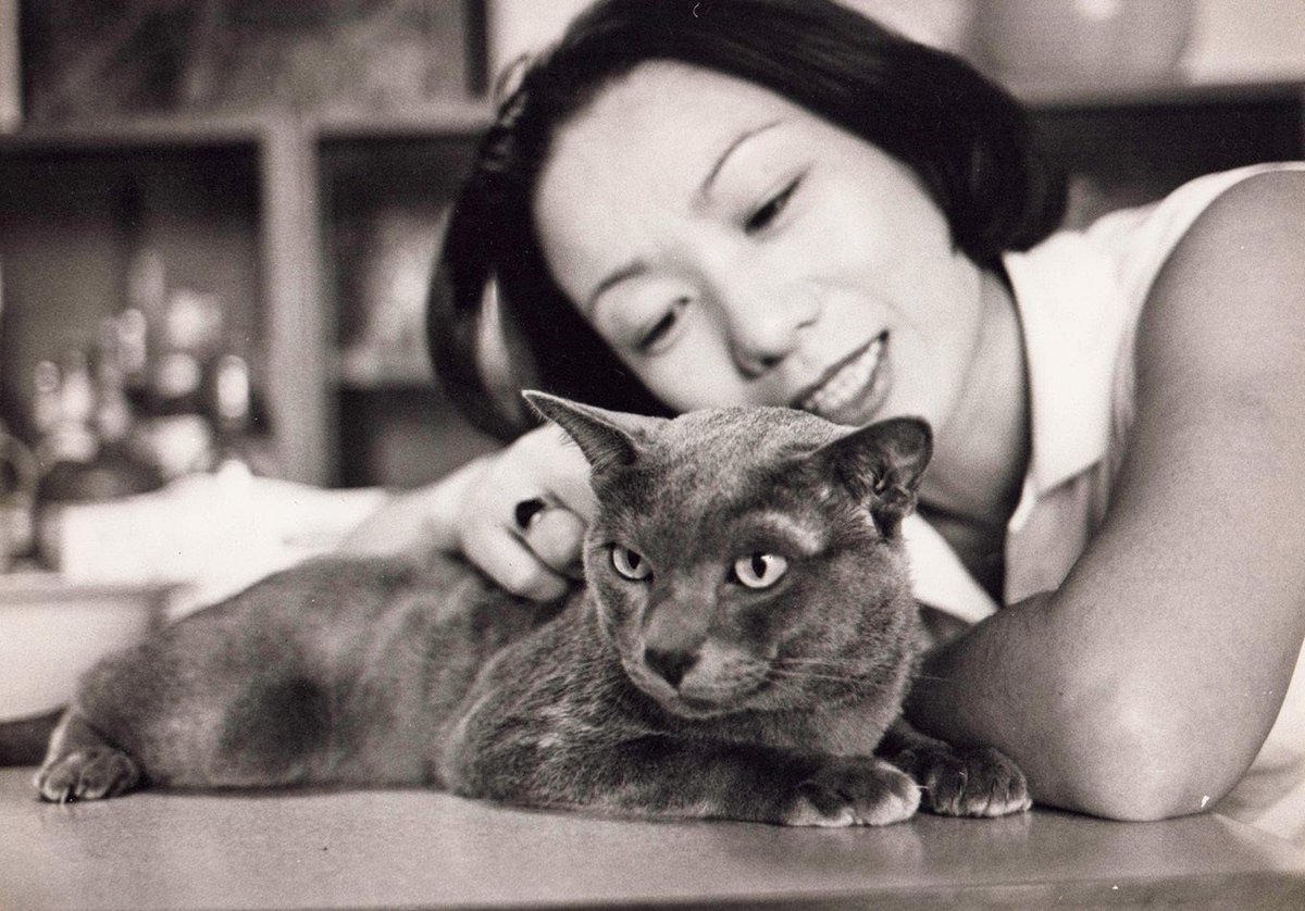 愛猫家の向田邦子先生。これは見たことなかった
すてき