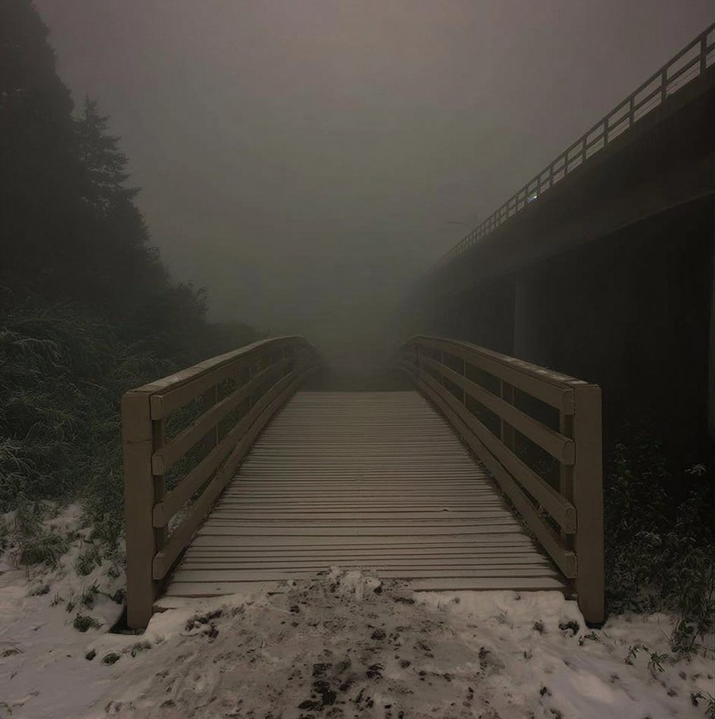 Liminal Space (@liminal_s) on Twitter photo 