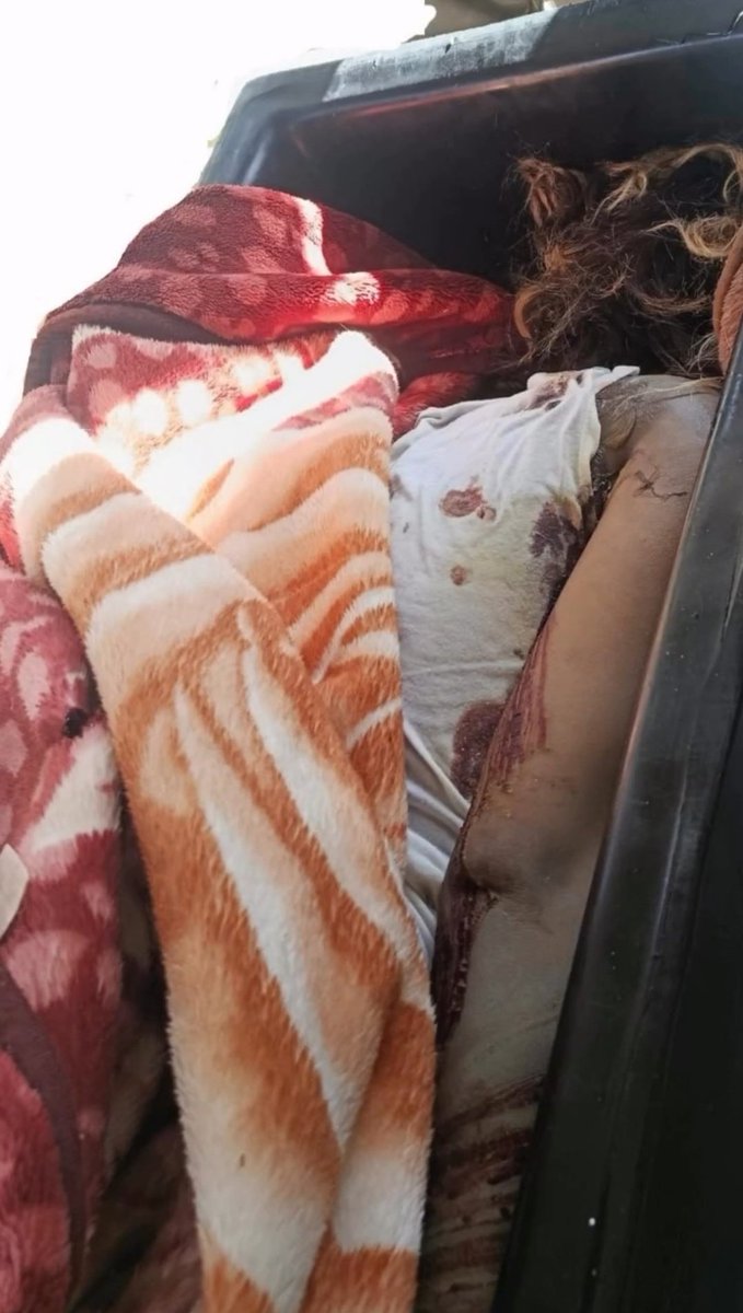 شیردُخت✨️🇮🇷 tweet media