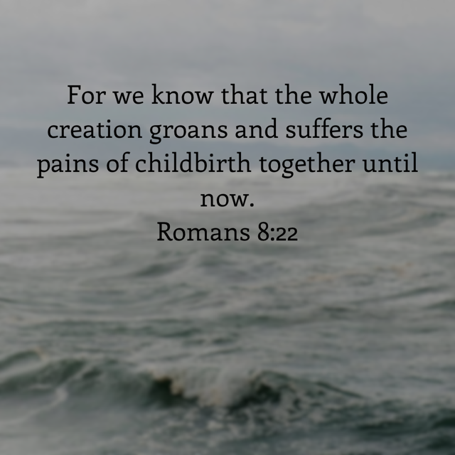 I always think of this verse when I think of what’s been happening with the geoengineering that’s been going on and the consequences from it. I’m sad for creation that’s been put in hard times by the insanity of man.😐