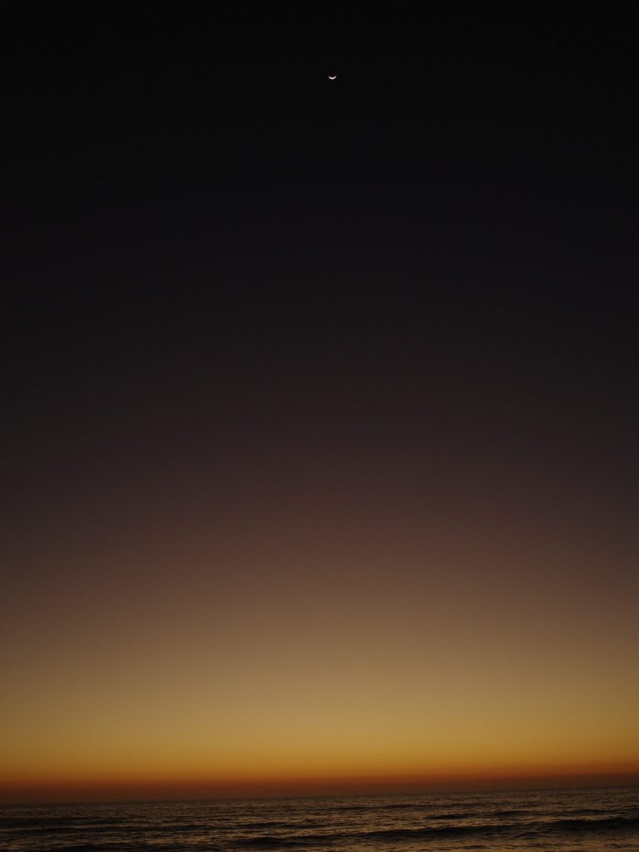 Kelsea Ballerini tweet media