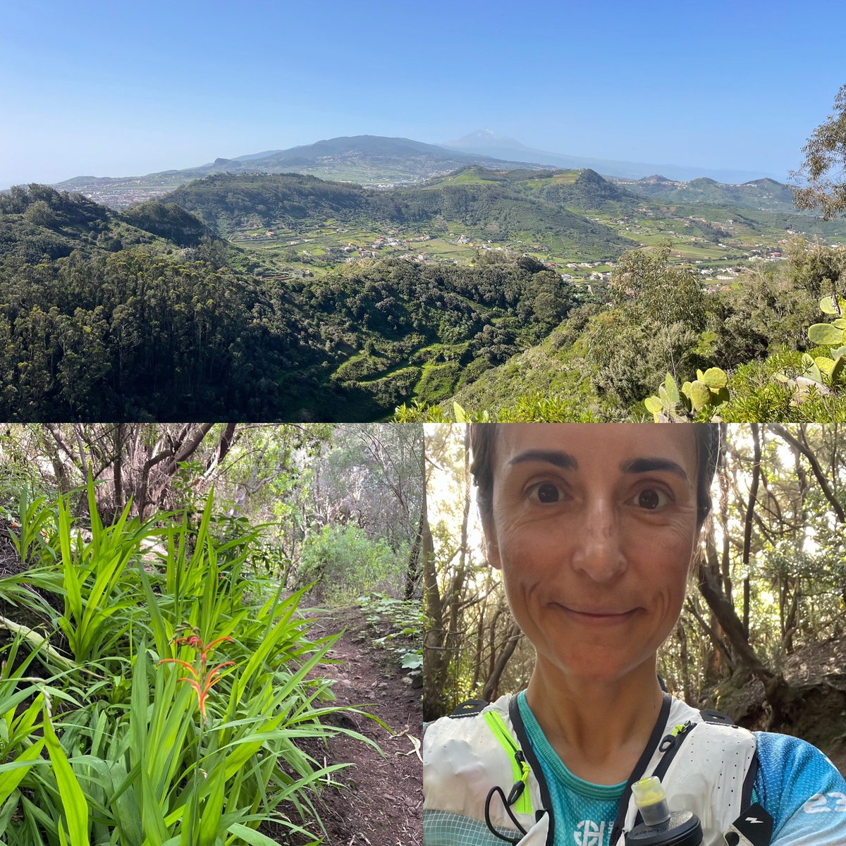 Soraya Manjón Vega tweet media