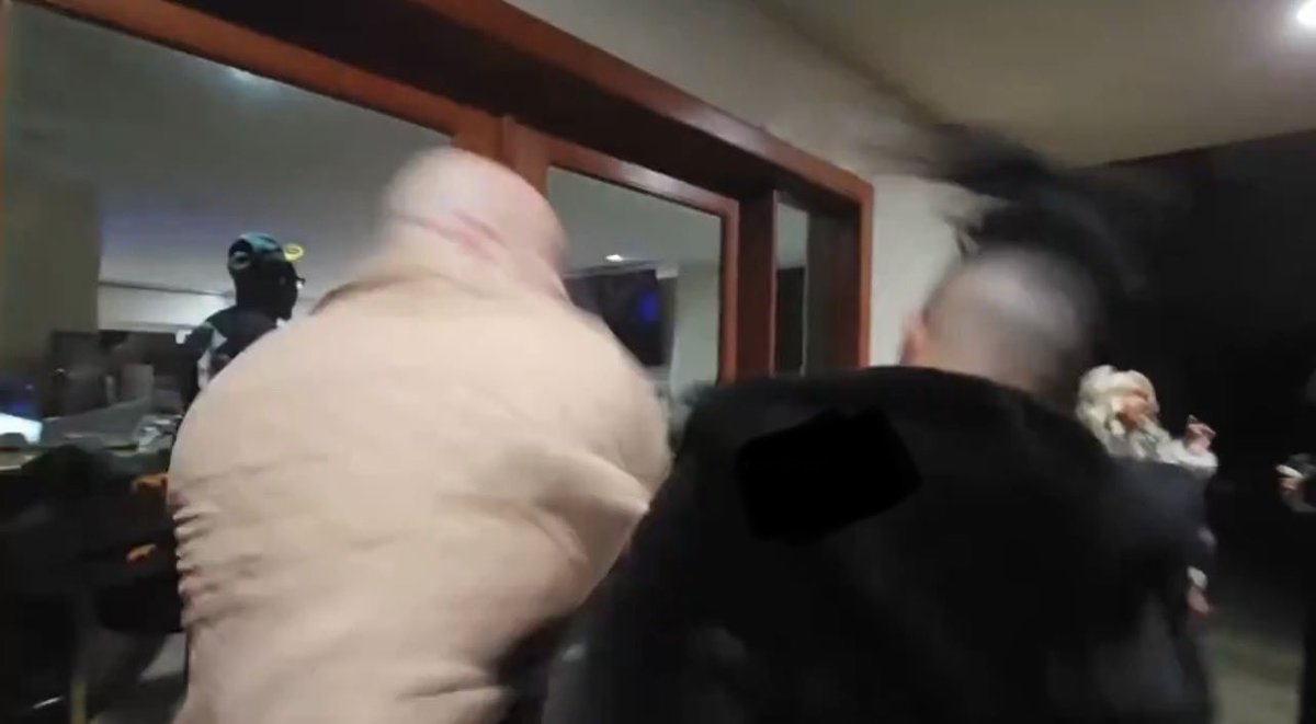 🐆🕊️ tweet media